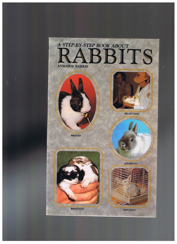 RABBITS A Step by Step Book About Rabbits by A. Barrie | Etsy