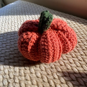 Pumpkin - perfect for Thanksgiving decor!