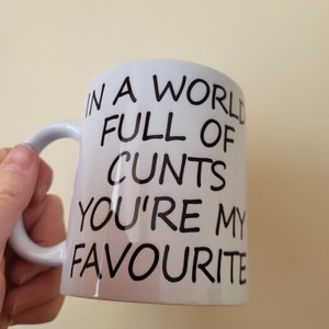 In a world full of cunts mug funny sweary gift | Christmas gift |Funny birthday gift