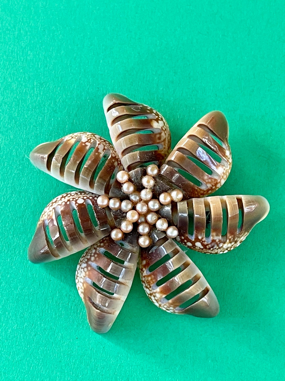 Vintage Seashell Brooch 1950s Beach Wedding Sea Star Etsy