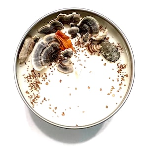 Coral Reef: Artisanal soy candle with shells