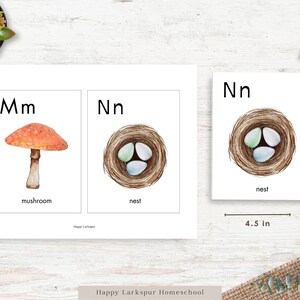 May include: Two printable alphabet flashcards featuring the letters M and N. The M card shows a red and white mushroom with the word "mushroom" below. The N card shows a brown nest with three blue and green eggs inside and the word "nest" below.