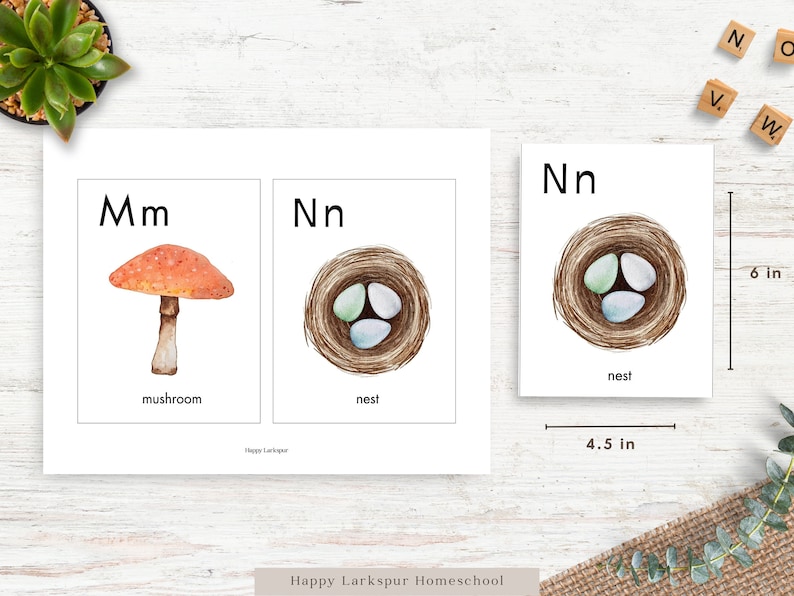 May include: Two printable alphabet flashcards featuring the letters M and N. The M card shows a red and white mushroom with the word "mushroom" below. The N card shows a brown nest with three blue and green eggs inside and the word "nest" below.