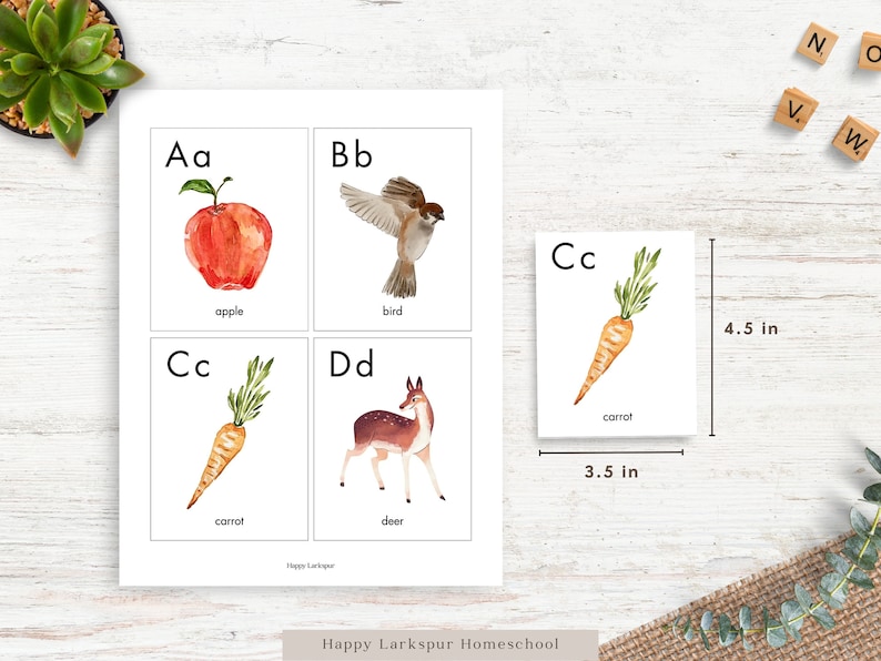 May include: A set of four alphabet flashcards featuring watercolour illustrations of an apple, bird, carrot, and deer. Each card is 4.5 inches by 3.5 inches and includes the letter and the name of the object.