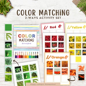 Actividad de combinación de colores para niños, imprimibles para colorear para niños pequeños, materiales Montessori, currículo preescolar para educación en casa, libro de actividades de combinación de colores
