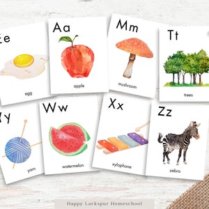 May include: Flashcards with the alphabet from A to Z, each card features a colourful illustration of an object starting with that letter, such as an apple, egg, mushroom, trees, yarn, watermelon, xylophone, and zebra.