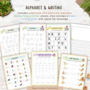 Pu&ograve; includere: Un set di fogli di lavoro dell'alfabeto stampabili per bambini. I fogli di lavoro includono il tracciamento delle lettere maiuscole e minuscole, l'ordine alfabetico, la pratica della scrittura e attivit&agrave; di tracciamento delle linee. I fogli di lavoro presentano illustrazioni colorate di animali e oggetti.