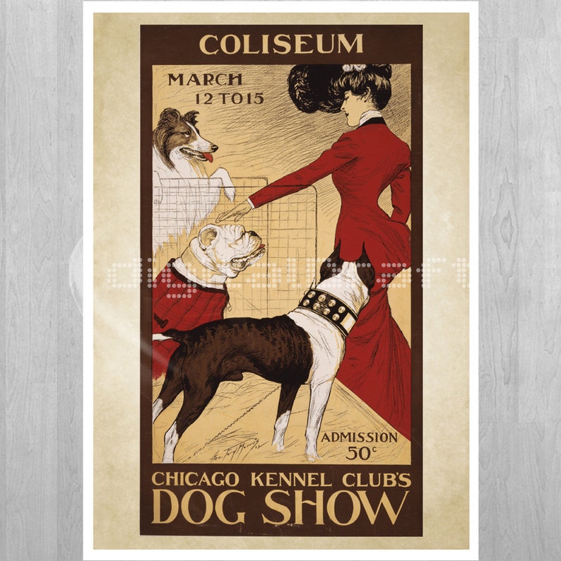 SET 2 Dog Show Mascoutah Wall Art Vintage Illustration Poster Woman Art to Print Wall Hanging image 5