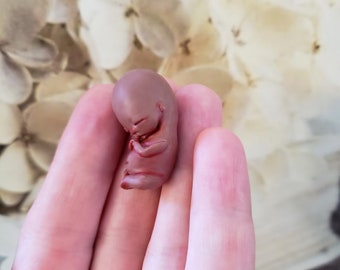 Foetus Etsy