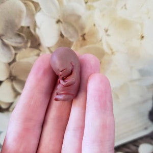 美しい幼児の流産のメモリアルギフト彫刻彫刻ミニチュアブラックブラウンお悔やみカードミシェルロイ