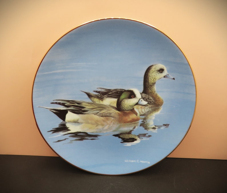 1990s Federal Duck Stamp Completion Winner Series of Award Winning Paintings Collector Duck Plates image 6