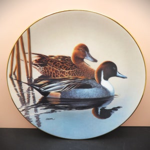 1990s Federal Duck Stamp Completion Winner Series of Award Winning Paintings Collector Duck Plates image 5