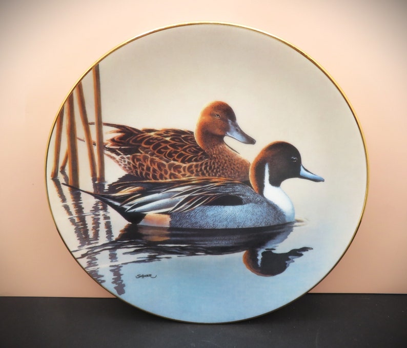 1990s Federal Duck Stamp Completion Winner Series of Award Winning Paintings Collector Duck Plates image 5