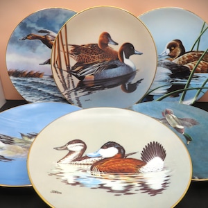 1990s Federal Duck Stamp Completion Winner Series of Award Winning Paintings Collector Duck Plates image 1