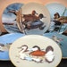 see more listings in the Collector Plates section