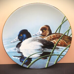 1990s Federal Duck Stamp Completion Winner Series of Award Winning Paintings Collector Duck Plates image 2