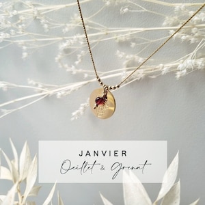 Collar con medallón de flor de nacimiento y piedra natal de enero | granate y clavel | Relleno de oro de 14 k, resistente al agua.
