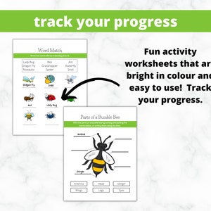 May include: Two colorful worksheets for kids to learn about insects. The first worksheet is a word match activity with pictures of a lady bug, dragon fly, mosquito, ant, grasshopper, spider, butterfly, and snail. The second worksheet is a parts of a bumble bee activity with a picture of a bumble bee and labels for the antenna, stinger, head, wings, legs, and eyes.