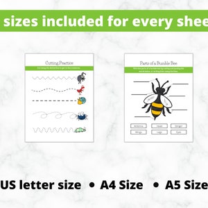 May include: Two printable worksheets for kids. The first worksheet is a cutting practice sheet with four different lines to cut along. The second worksheet is a parts of a bumble bee worksheet with a diagram of a bumble bee and labels for the different parts of the bee. The text on the worksheets reads "Cutting Practice" and "Parts of a Bumble Bee".