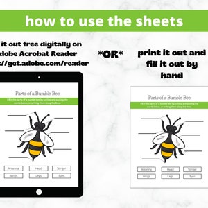 May include: A printable worksheet for kids to learn about the parts of a bumble bee. The worksheet features a black and yellow bumble bee illustration with lines leading to blank spaces for the words: antenna, wings, head, legs, stinger, and eyes. The words are listed below the bee in a box.