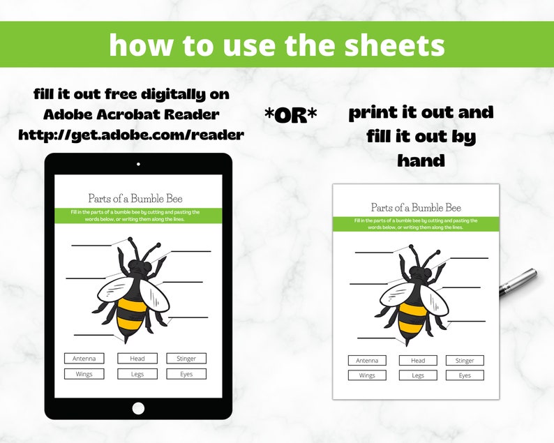 May include: A printable worksheet for kids to learn about the parts of a bumble bee. The worksheet features a black and yellow bumble bee illustration with lines leading to blank spaces for the words: antenna, wings, head, legs, stinger, and eyes. The words are listed below the bee in a box.