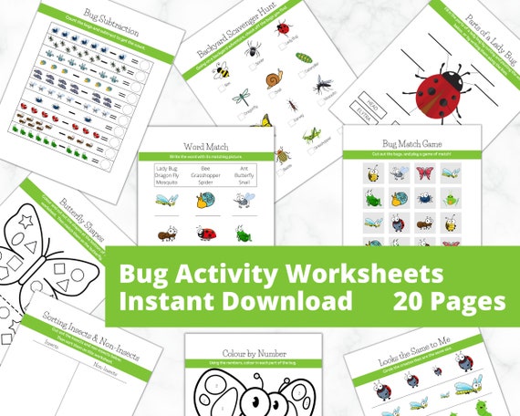 Kids Worksheets | Bugs & Insects Activities | Kindergarten Printable | Toddler Preschool Curriculum