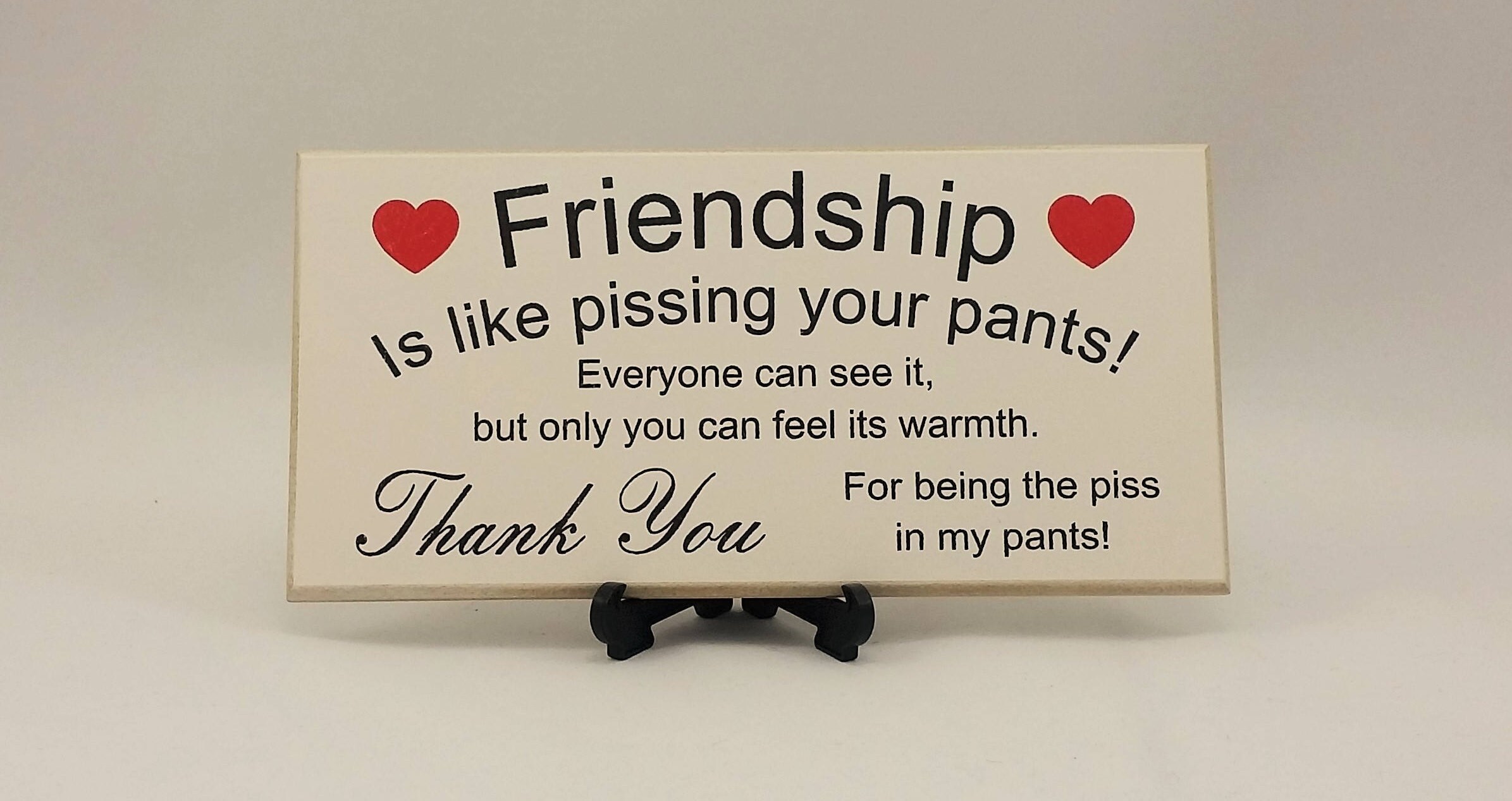 Best Friend Gift Funny Sign Birthday Present Friendship Gift Etsy