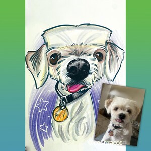 1 Pet Portrait Caricature Color
