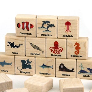 Ocean Animals Memory Game: 24 Solid Maple Stacking Blocks, Fun Wood Matching Toy for Kids, Sea Life Set with Narwhal Dolphin Shark Octopus