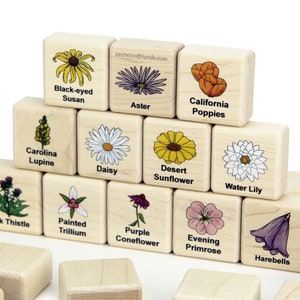 May include: A set of light-colored wooden blocks arranged in a pyramid, each featuring a colorful illustration of a flower and its name, including Black-eyed Susan, Aster, California Poppies, Carolina Lupine, Daisy, Desert Sunflower, Water Lily, Milk Thistle, Painted Trillium, Purple Coneflower, Evening Primrose, and Harebells.