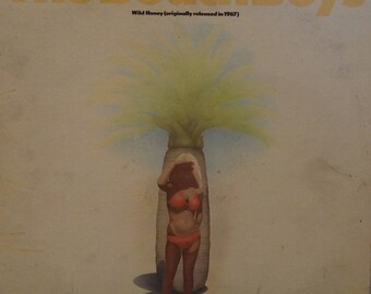 Beach Boys, The – Wild Honey & 20/20 1974 ( 2 x LP, Album, Vinyl Record, Compilation, Gatefold) Surf, Pop, Rock - Music
