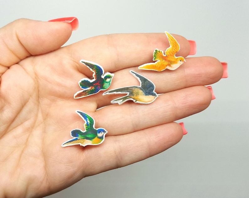 Vintage jewelry Tropical birds acrylic earrings Wereable art Exotic Birds earrings Cute exotic birds stud earrings Illustrated earrings