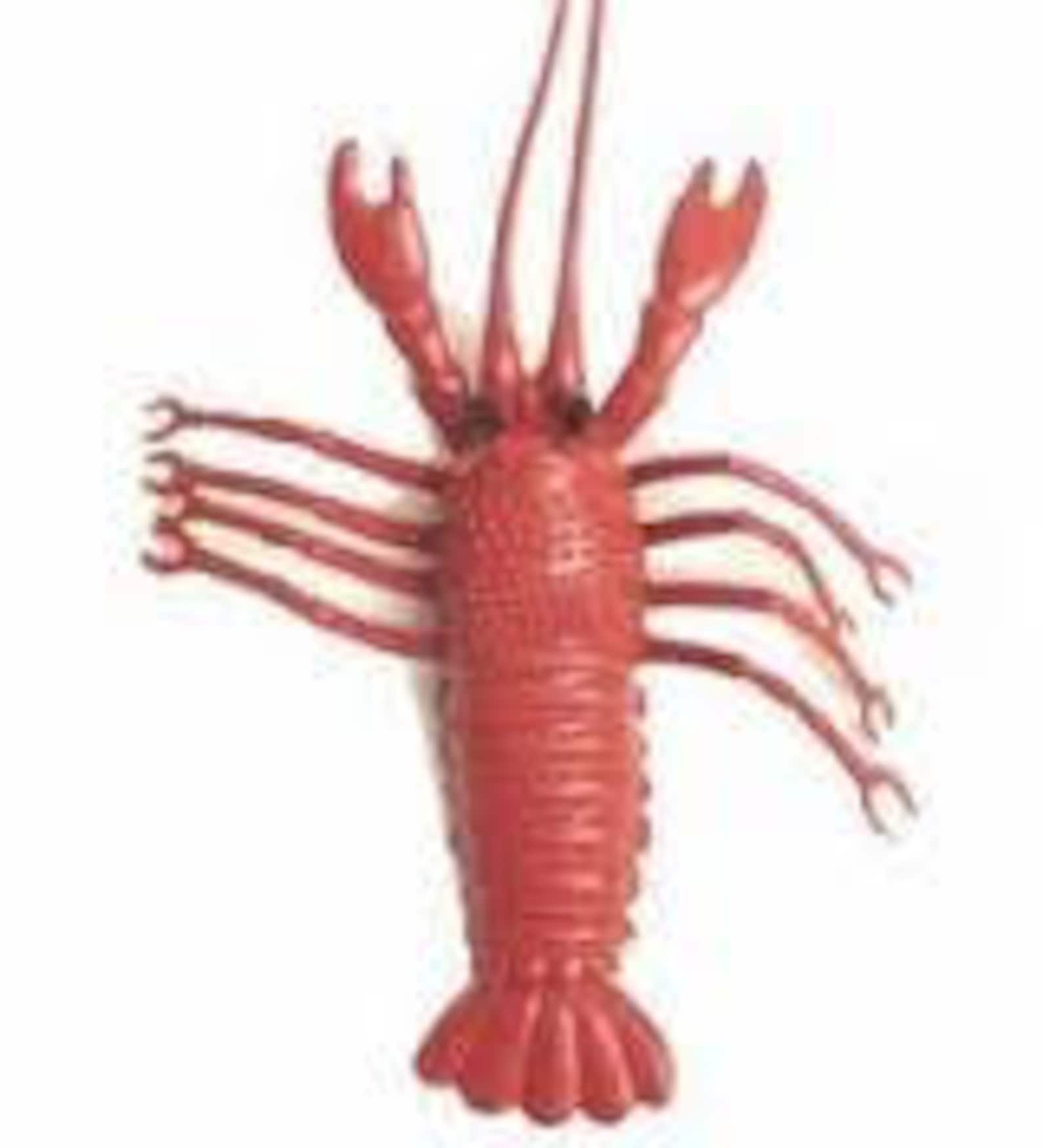 A Pack of 12 PVC 4 Rubber LOBSTER Crawfish Crayfish for Etsy