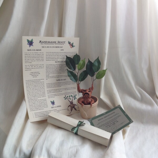 Mandrake Root - Made to Order Only Listing