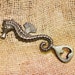 The Seahorse - Bottle Opener 