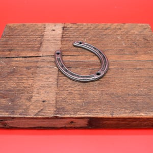 Horse shoe - 3", 4", 6" double robe hook, decorative (3" no hook), cowboy hat(4") image 13