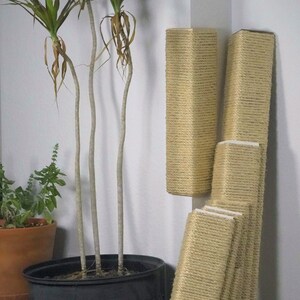 Wall Corner Cat Scratching Post 18 Inch Tall, Stained Pine, Sisal Rope image 8