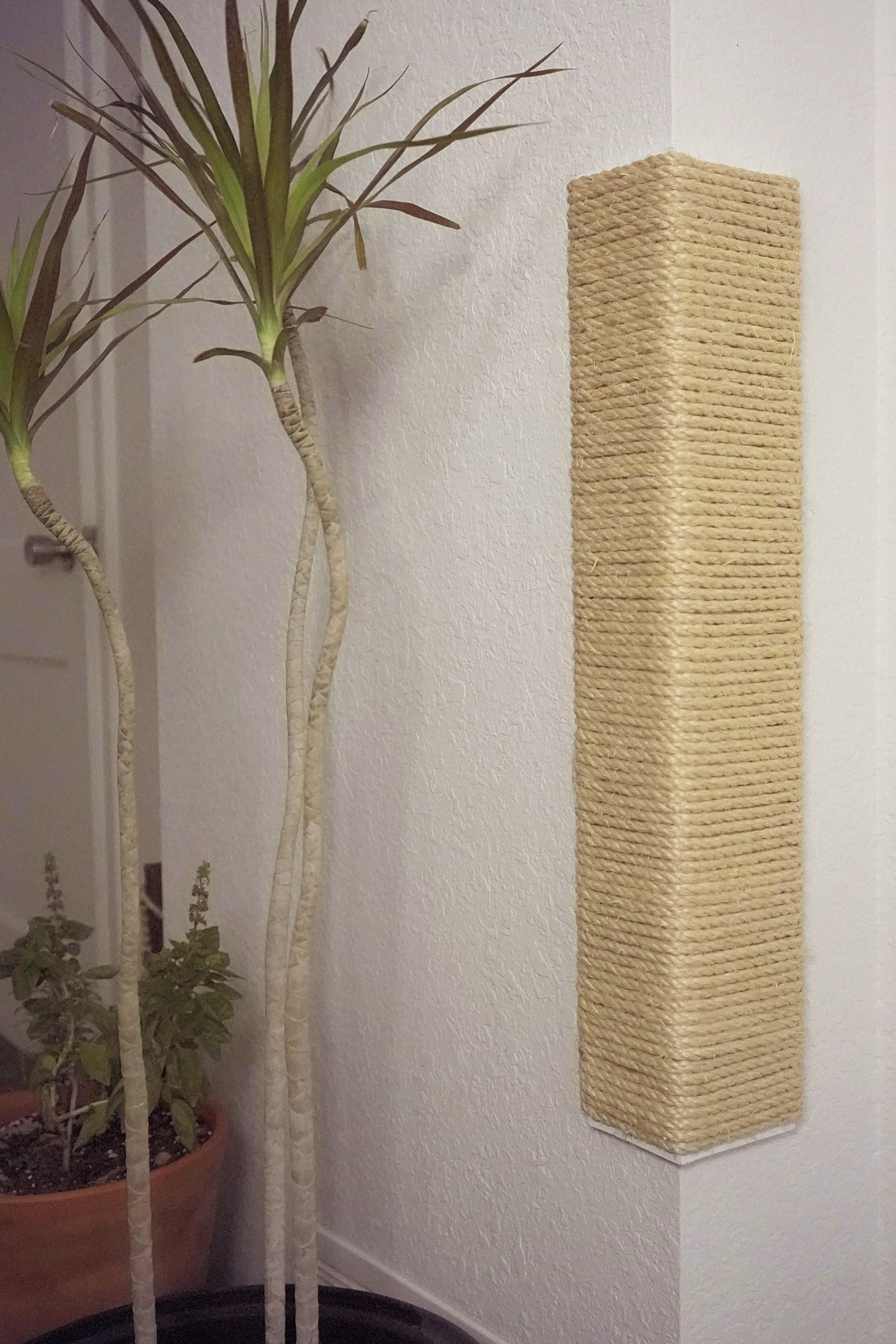 Corner cat on sale scratching post