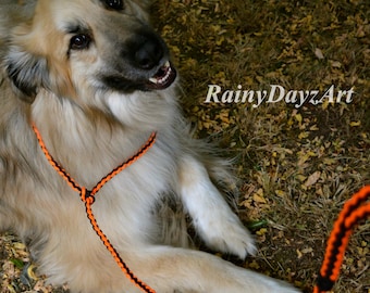 Non-Metal Paracord Slip Leash, TSA Approved Dog Travel Leash, Pet Parent Gift