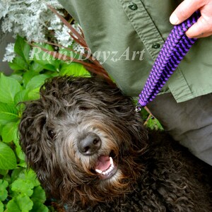 May include: A black, curly-haired dog looking upward with an open mouth, attached to a purple and black braided paracord leash. The text RainyDayzArt is visible in the center. The dog is positioned next to a person wearing an olive green shirt.