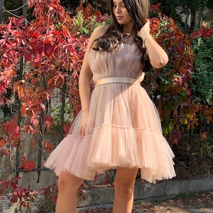 Women Tulle Dress/Tutu Dress/Layered Dress/Wedding Dress/Ruffle Dress/Nude Dress/Midi Beige Dress/Handmade Beige Dress/Furbelow Dress/F1926