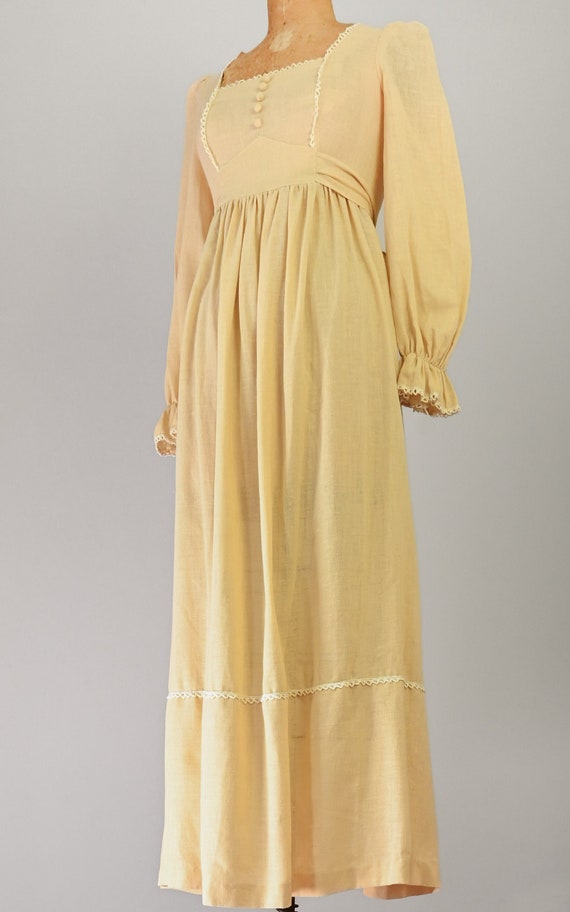 1970s Willa Maxi Dress - image 5