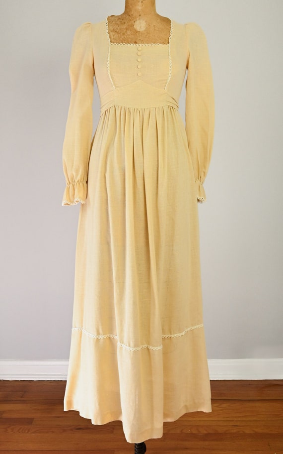 1970s Willa Maxi Dress - image 3