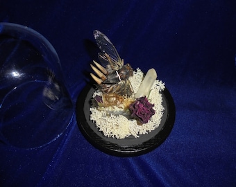 Snapping turtle claw cloche