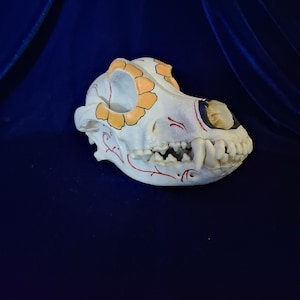 Coyote skull art