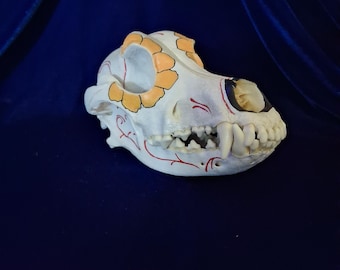 Coyote skull art