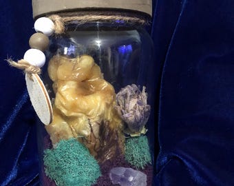 mummified emu heart display jar