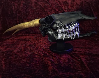 Eland skull art