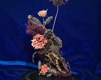 Scorpion taxidermy display