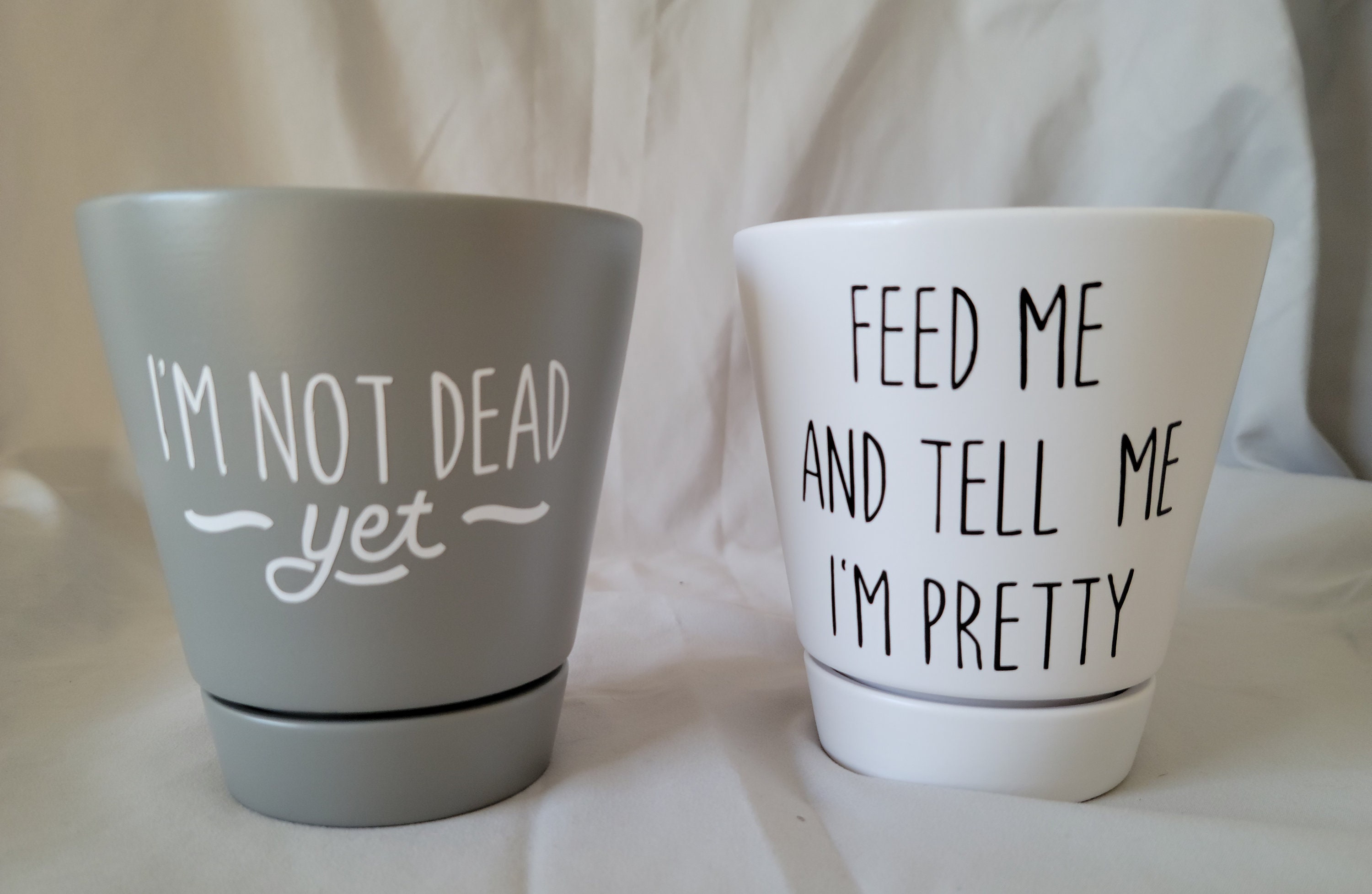 Flower Pot//Funny Flower Pot Sayings//Funny Planter//Funny Etsy
